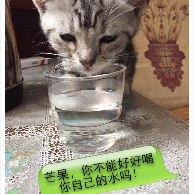 博洛尼亚美术学院学历认证办理